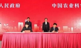 新核心最新爆料新闻视频,最新爆料新闻视频深度解析