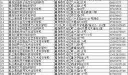 城阳最新爆料,揭秘神秘项目背后的惊人真相